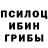 Псилоцибиновые грибы Cubensis Kodirova Yasuman