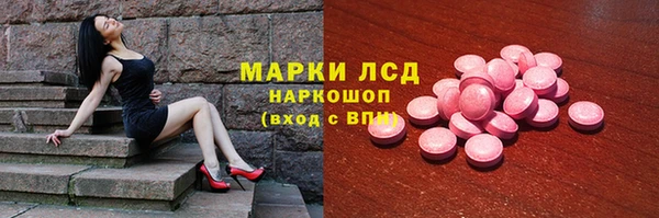 хмурый Новозыбков