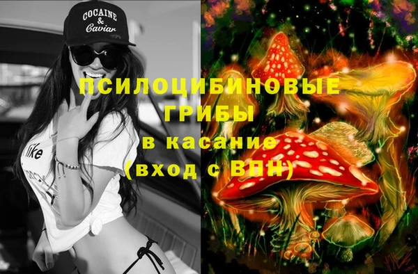 бошки Новодвинск